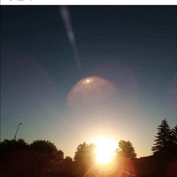 Meet your Posher, Raphael - Picture 1 of 1